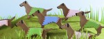 Tierisches
