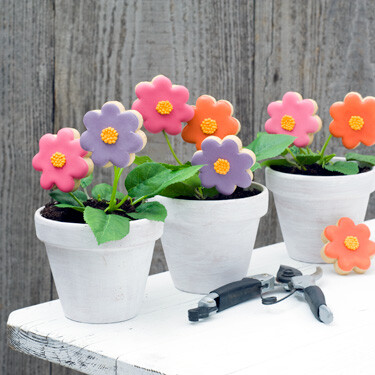 Sweet flowers **kann personalisiert werden** Nein danke