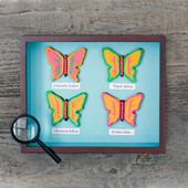 Box of butterflies **kann personalisiert werden**